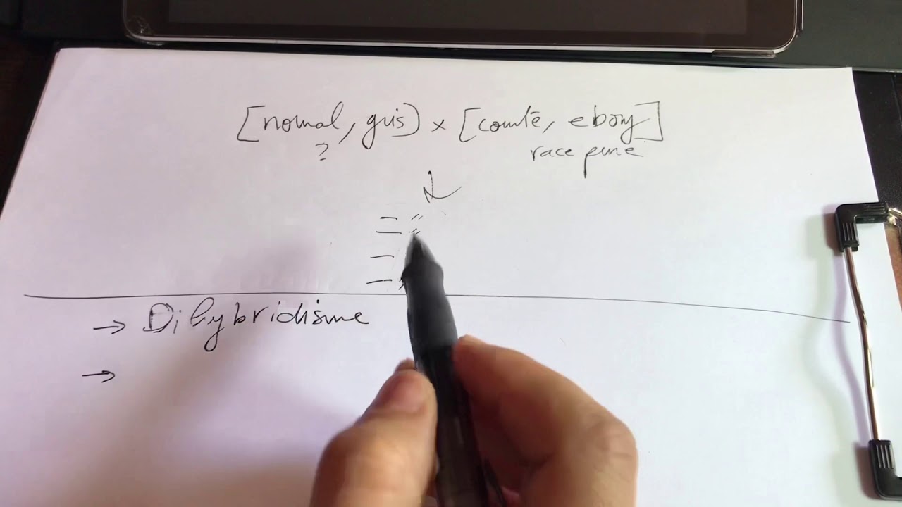 Exam lois de mendel / gènes indépendants et gènes liés linkage absolu