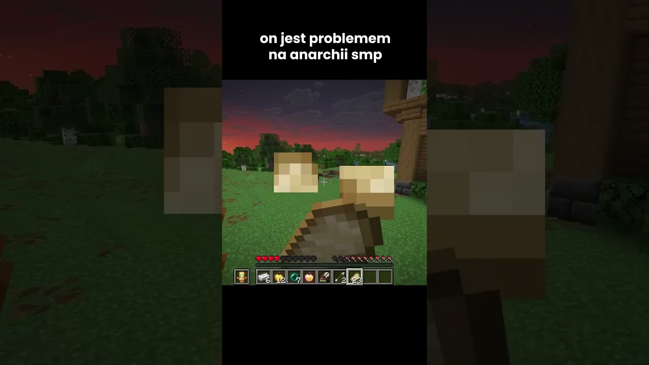 ON JEST PROBLEMEM na ANARCHII SMP!
