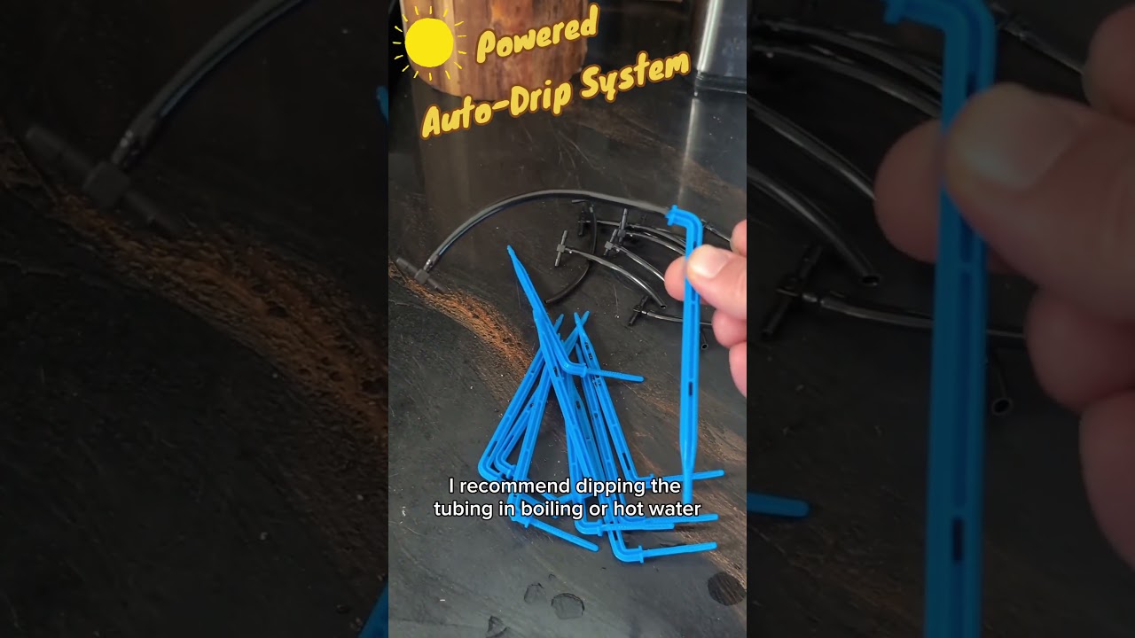 Setting Up Solar Powered Auto Drip Irrigation System. #garden #gardening #solar #dripirrigation