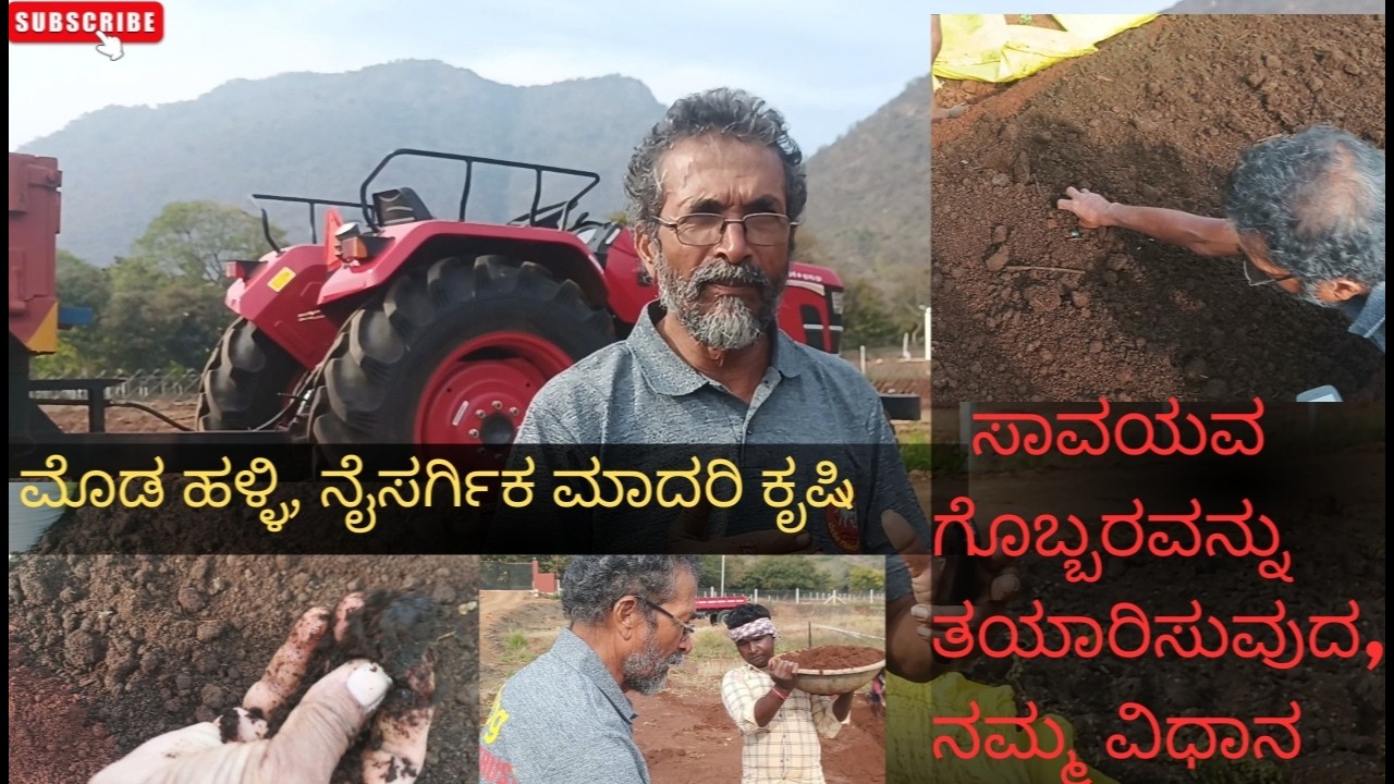 ಸಾವಯವ ಗೊಬ್ಬರ ತಯಾರಿಸುವ ವಿಧಾನ , ಮೋಡಹಳ್ಳಿ, ಗುಂಡಾಲ್ ಅಣೆಕಟ್ಟಿನ ಹತ್ತಿರ . Making of organic compost.