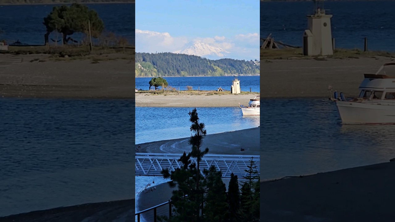 Gotta Love Washington#travel #lifestyle #mountains #views #trending #shorts