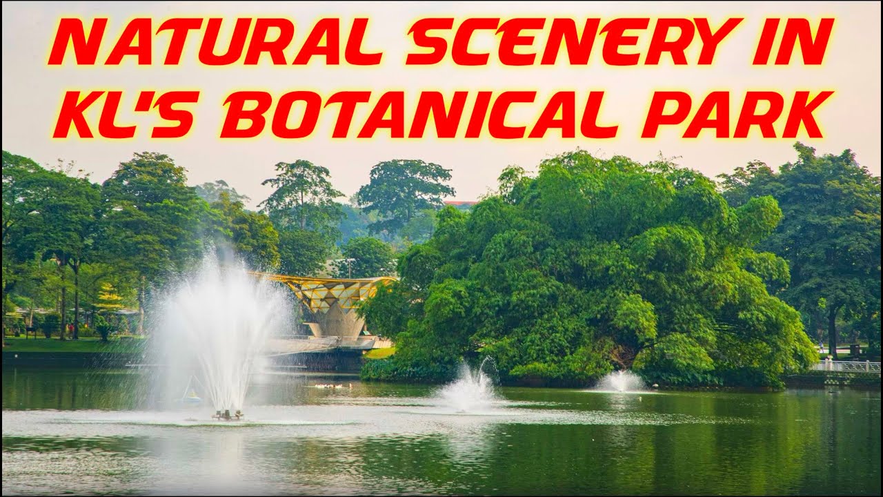 Natural Scenery in KL's Botanical Park