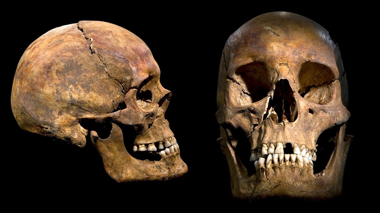 Richard III - Identifying the Remains