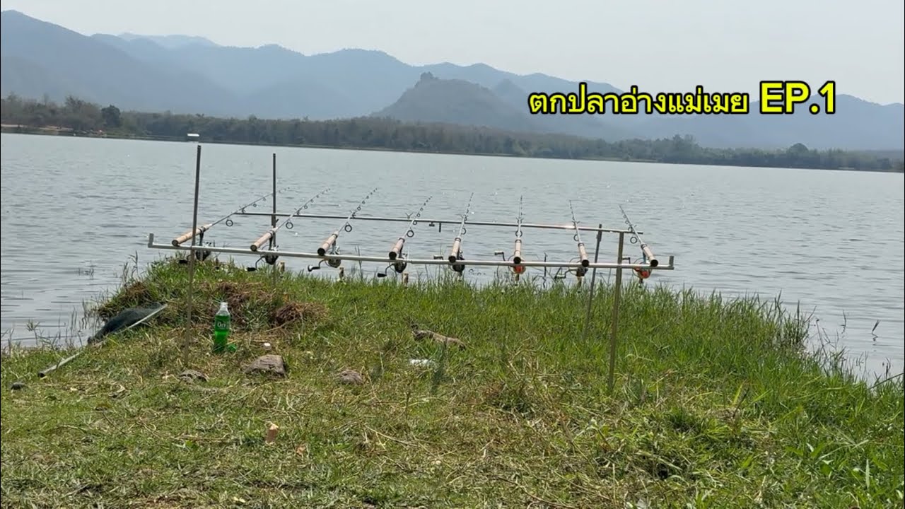 EP | 10 ตกปลาอ่างเก็บน้ำแม่เมยบรรยากาศดีมากๆคับ#ผู้ติดตาม #fishing #ตกปลาหน้าดิน #ตกปลาสายหวาน
