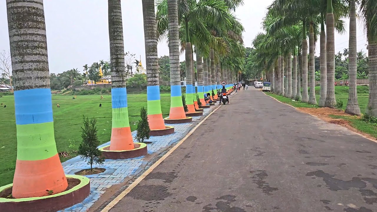 MANU BANKUL: A Land of Royal Palm Trees || PILAK || Sabroom, South Tripura.