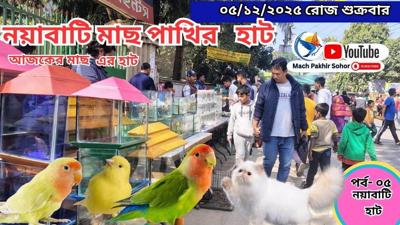 সবথেকে বড় মাছ পাখির হাট পর্ব-০৫ Largest aquarium #fish market #Khulna খালিশপুর,নয়াবাটি , খুলনা
