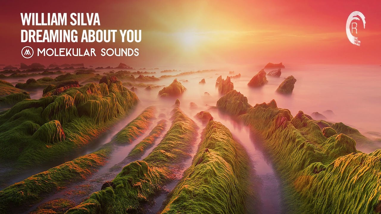 William Silva - Dreaming About You [Molekular Sounds] Extended