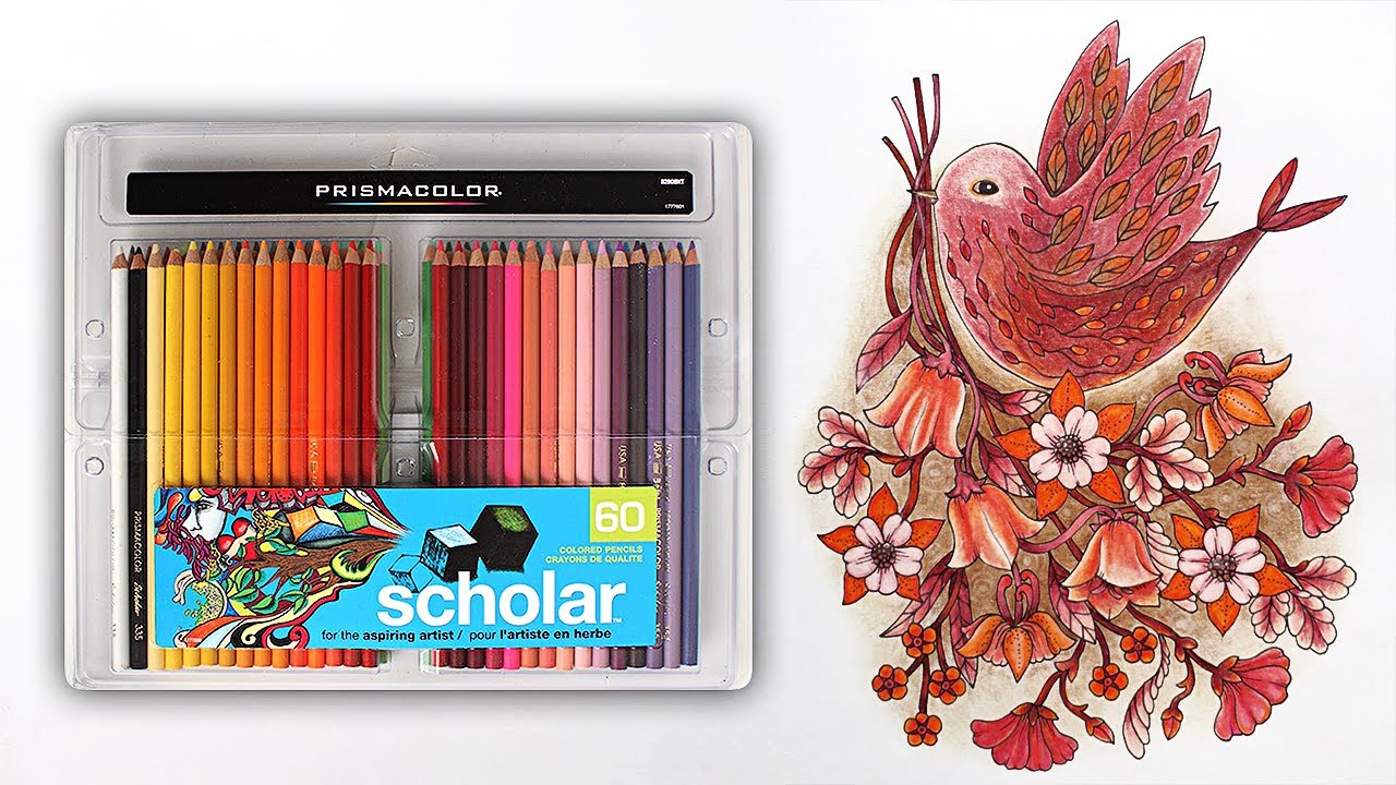 Мои любимые цветные карандаши. Prismacolor Scholar.