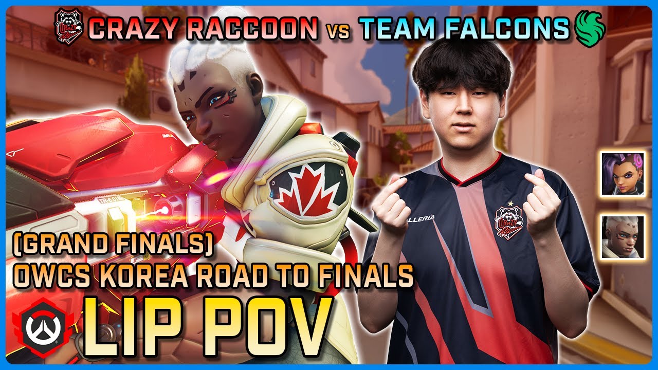 [ Lip ] Absolutely NUTTY Sojourn Performance | Crazy Raccoon vs Falcons | Grand Finals