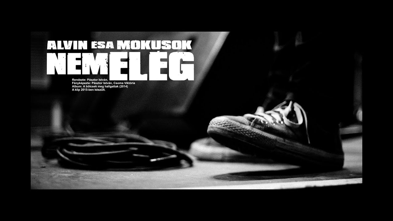 ALVIN ÉS A MÓKUSOK • NEM ELÉG • OFFICIAL VIDEO • 2015
