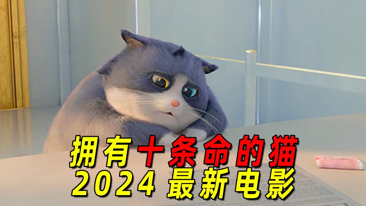 拥有十条命的猫猫，为了和主人团聚！竟转生成不同的动物！2024最新奇幻动画《十条命》