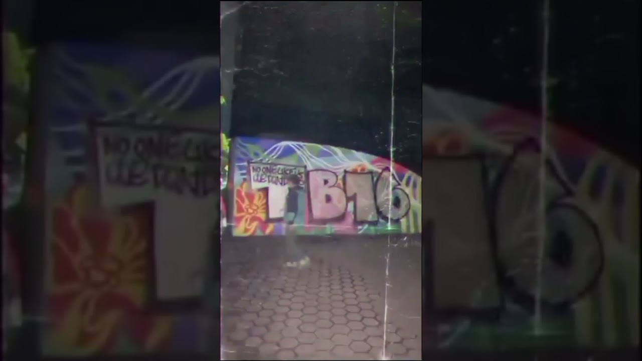 Tiger Bois invasi dan bikin mural markas bobotoh viking di jembatan pasupati #persijajakarta #persib