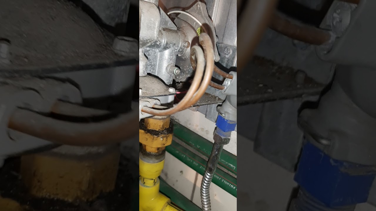 Reparacion de orbis automatico