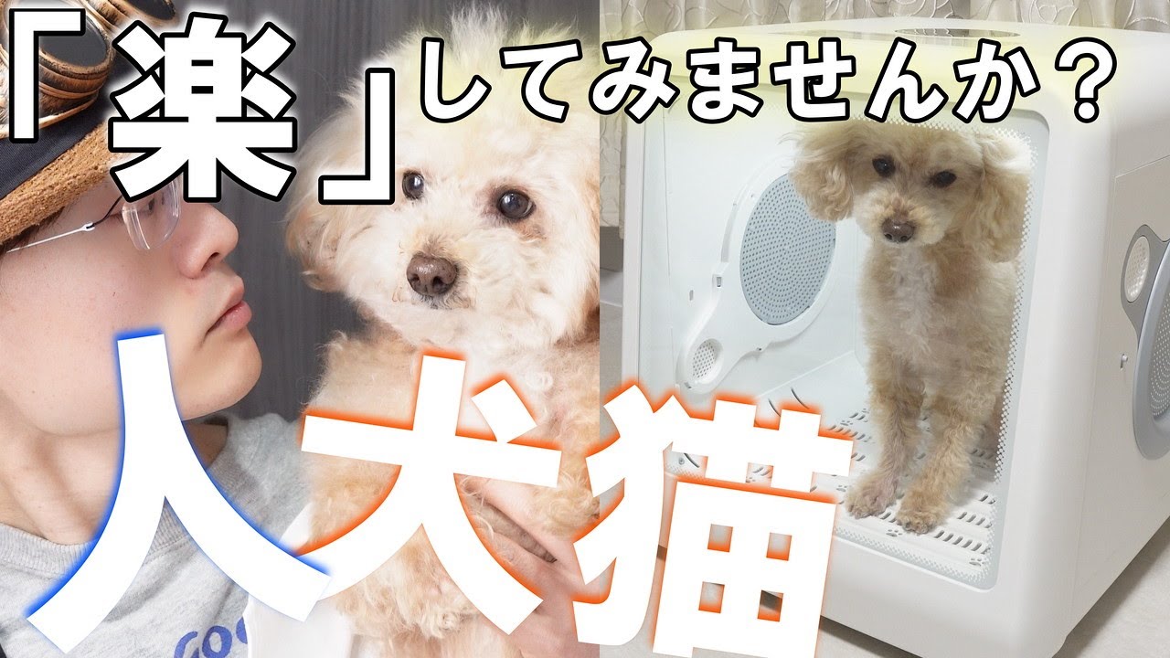 【ペット用】ドライヤーで毛を乾かす工程に小さなストレスを感じている方必見！シャンプーした後にドライボックスに入ってもらうだけで、犬猫人共に楽できます【犬猫専用】