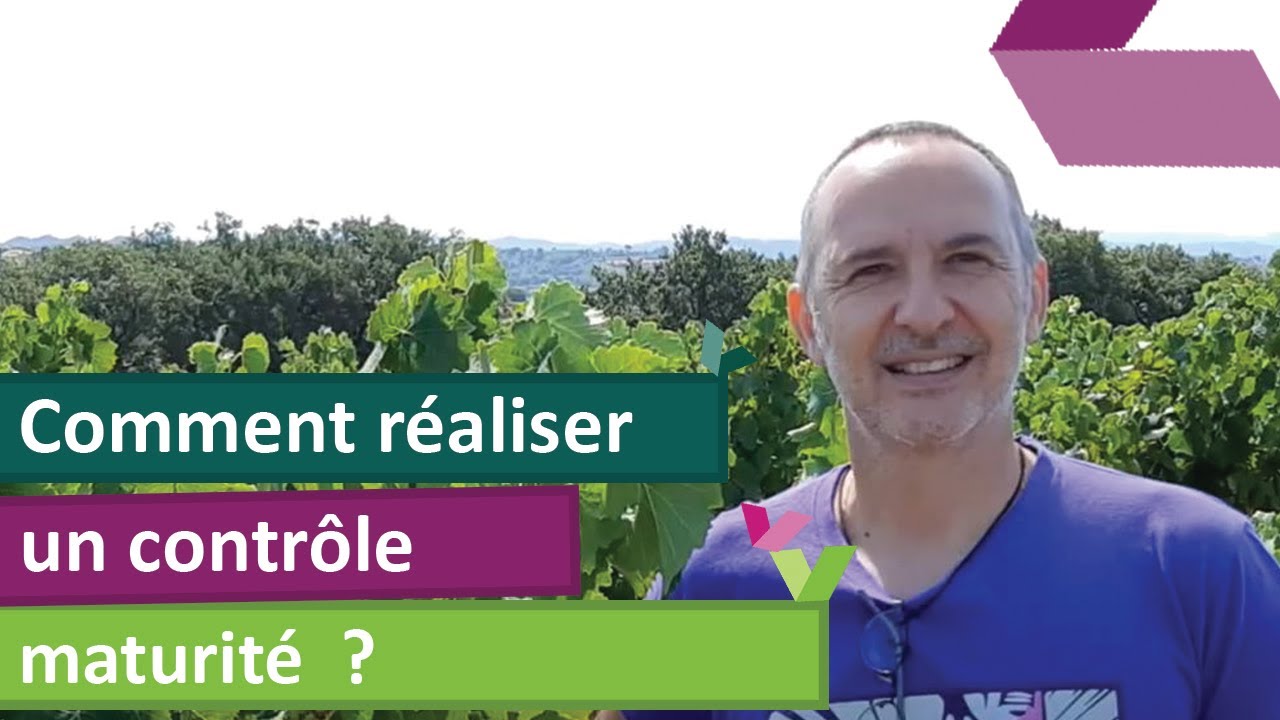 Comment réaliser un contrôle maturité ?