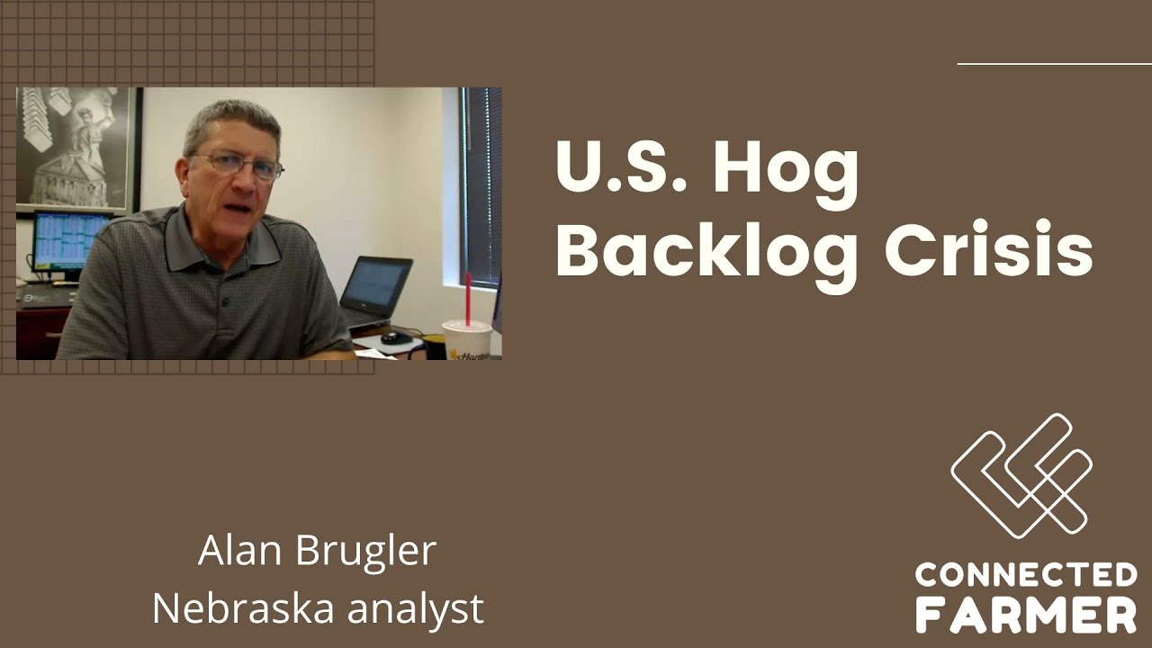 The U.S. Hog Backlog Analyzed by Alan Brugler