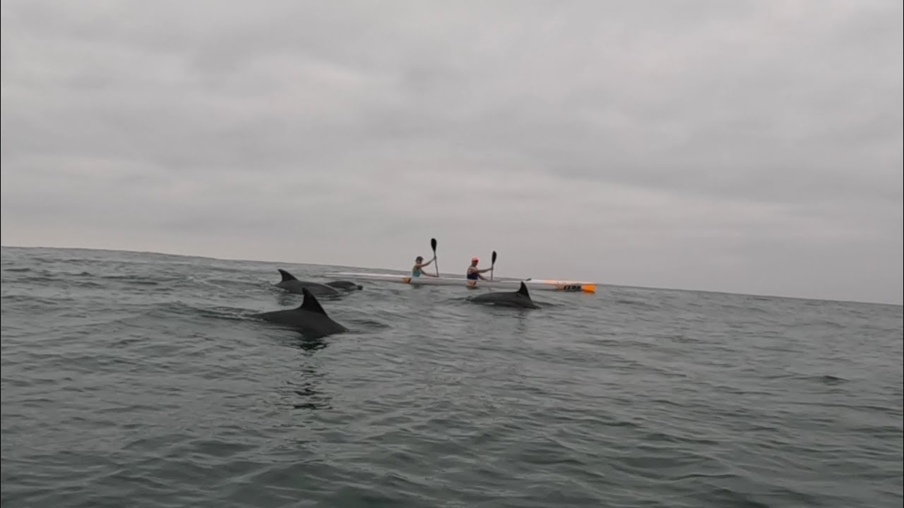 Beautiful Paddle with Thousands of Dolphins on the North Coast Salt Rock
