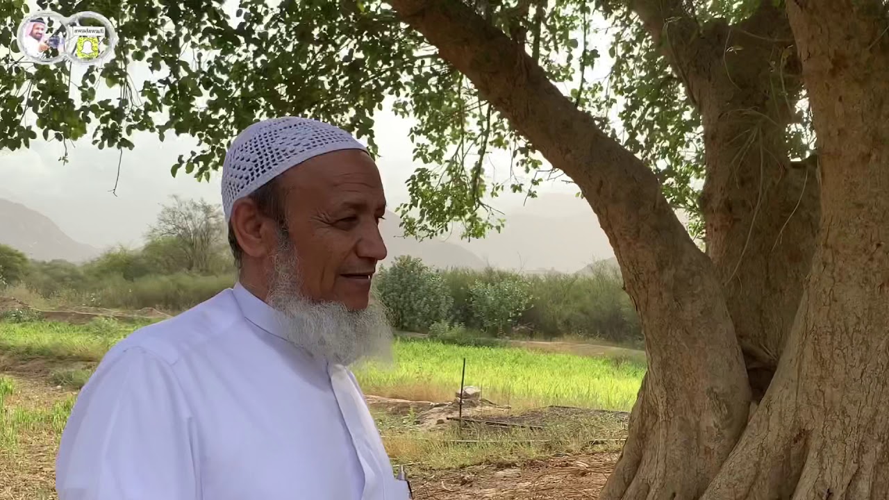 وادي نخال ( آل سليمان بالقرن ) الجزء الثاني