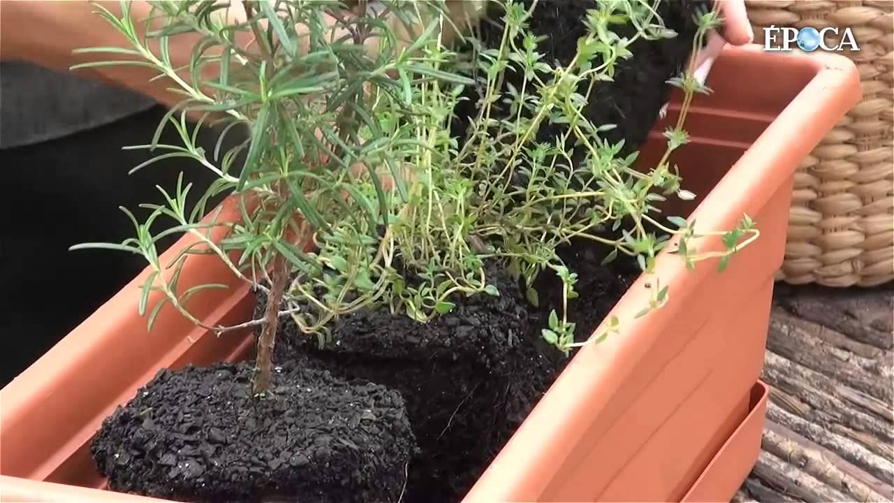 Como cultivar uma horta em casa com Silvia Jeha na revista &Eacute;poca