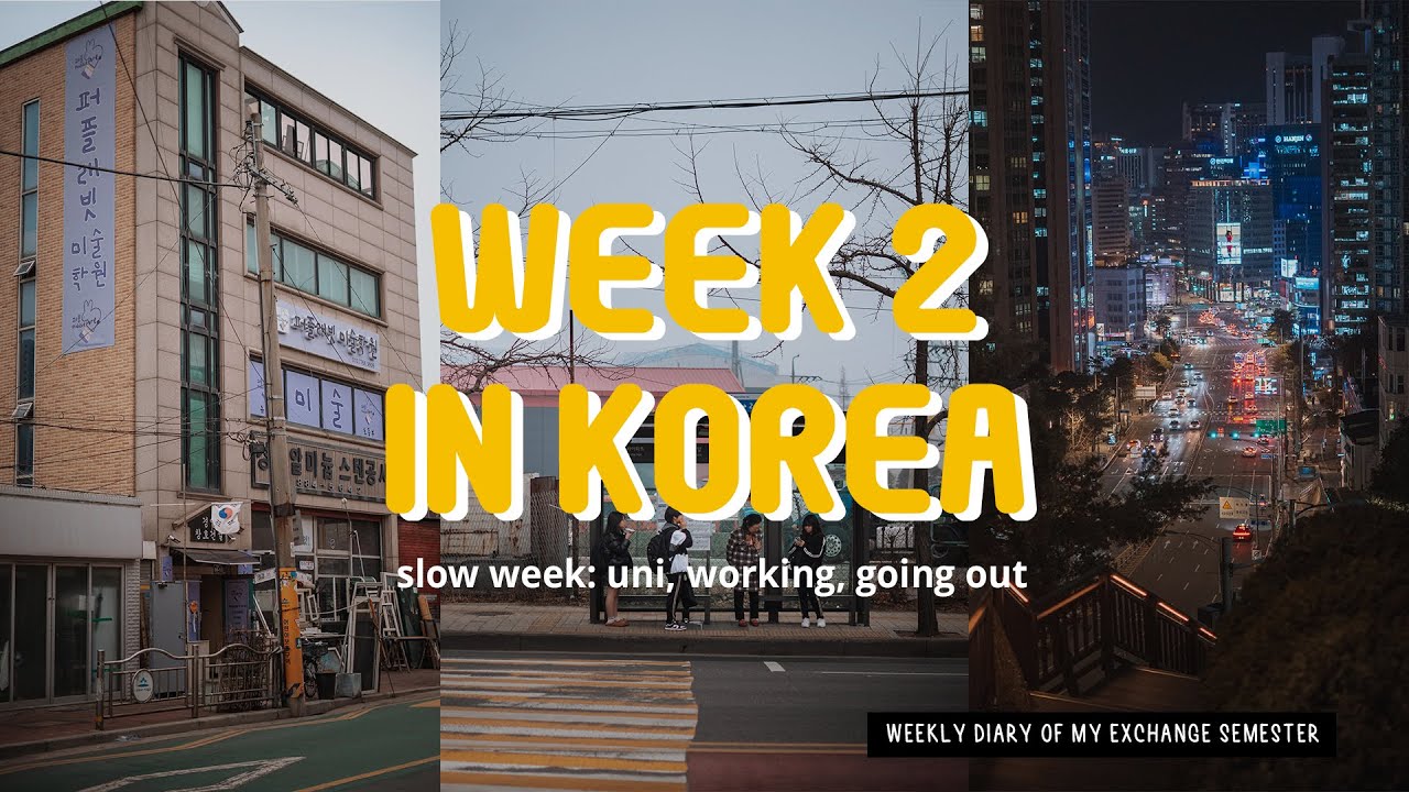 Week 2 as an Exchange Student in Korea 🇰🇷 | Uni Life, Working, a Birthday & Partying in Hongdae
