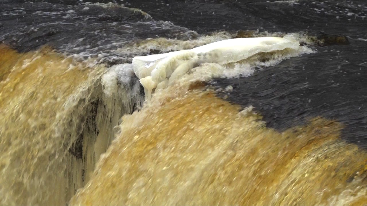 Michigan's Tahquamenon Falls - Nature's Beauty/Pure Michigan