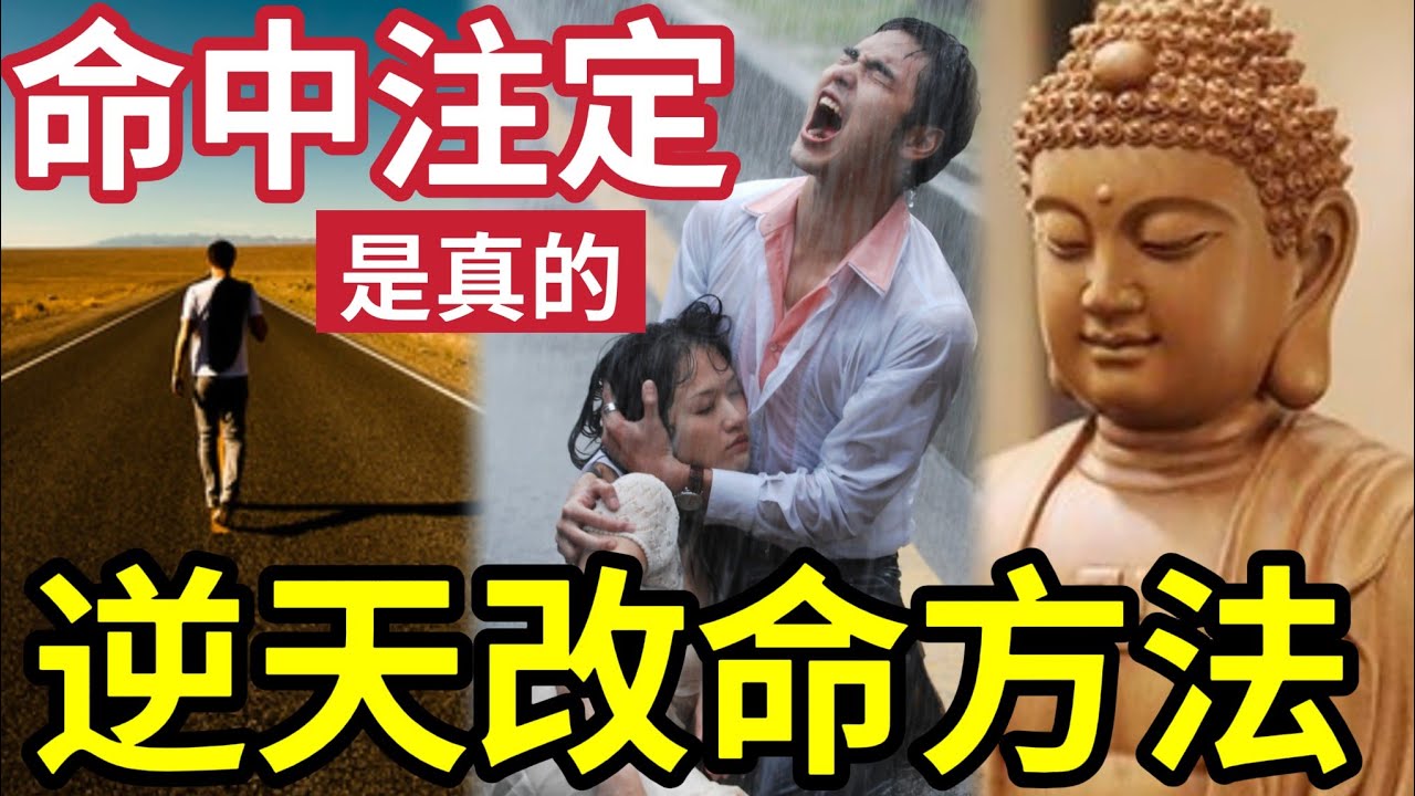 #佛禪 死不認命！命中注定不發達「一定不會發達？」逆天改命的人！都是這樣成功的！想打破困局一定要知！