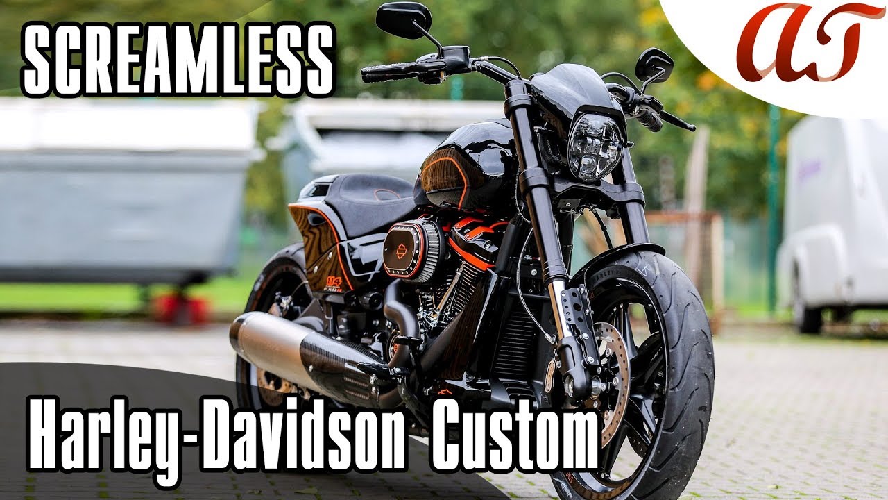 2019 Harley-Davidson FXDR Custom: SCREAMLESS * A&T Design