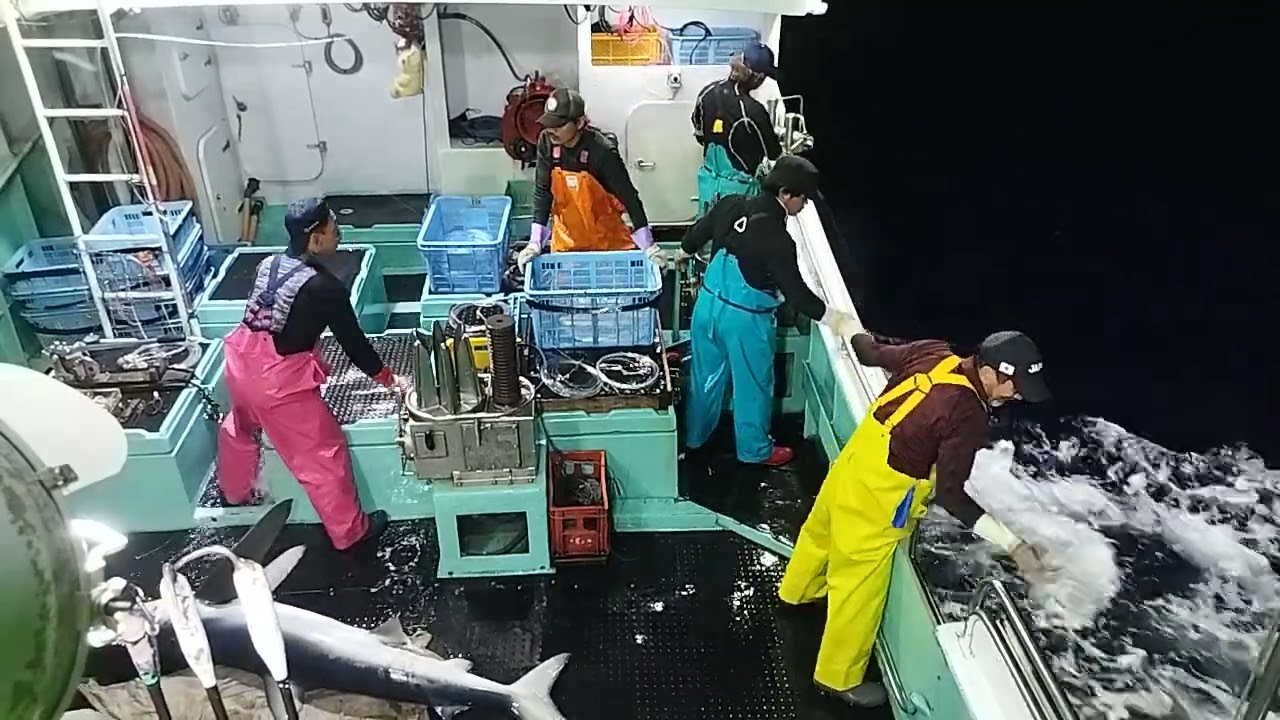 マグロはえ縄漁船Japan tuna