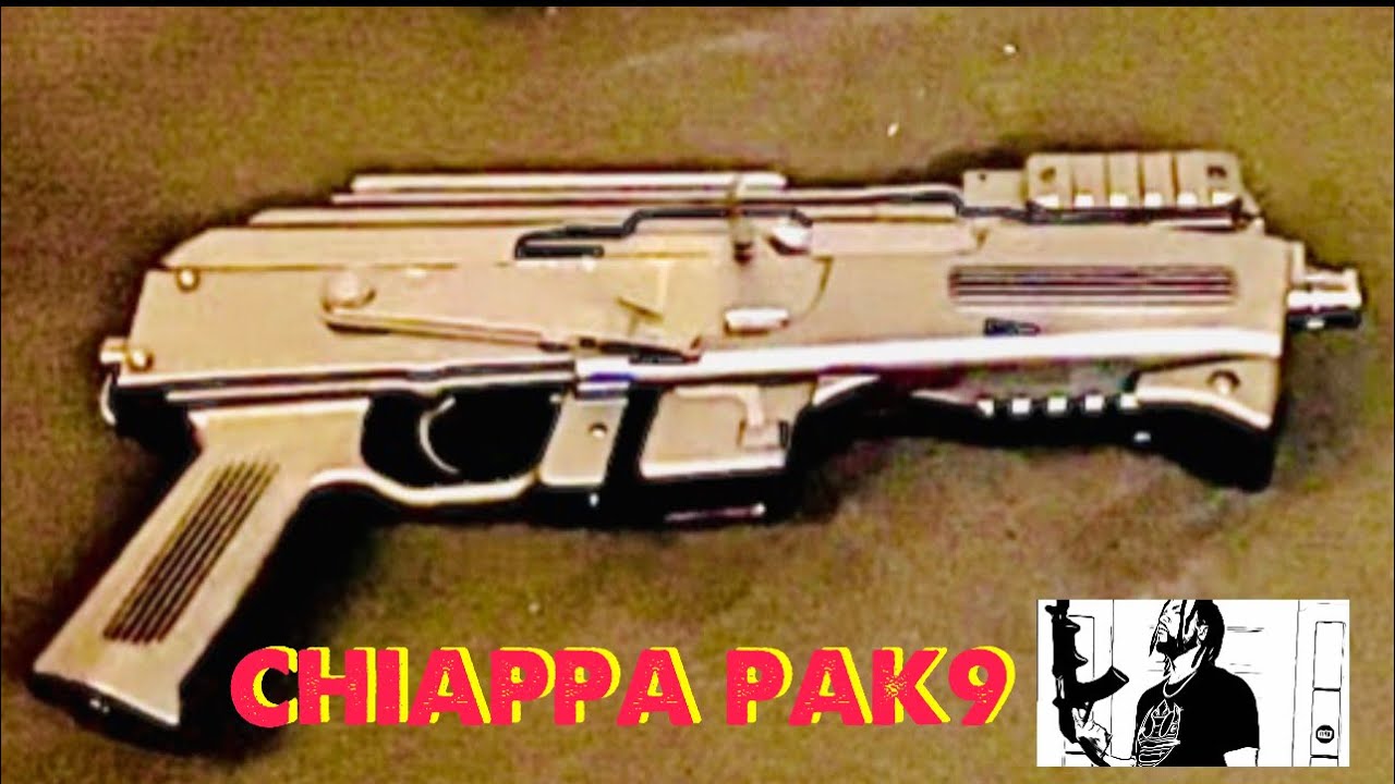 New Gun Alert!! Charles Daly : Chiappa PAK9