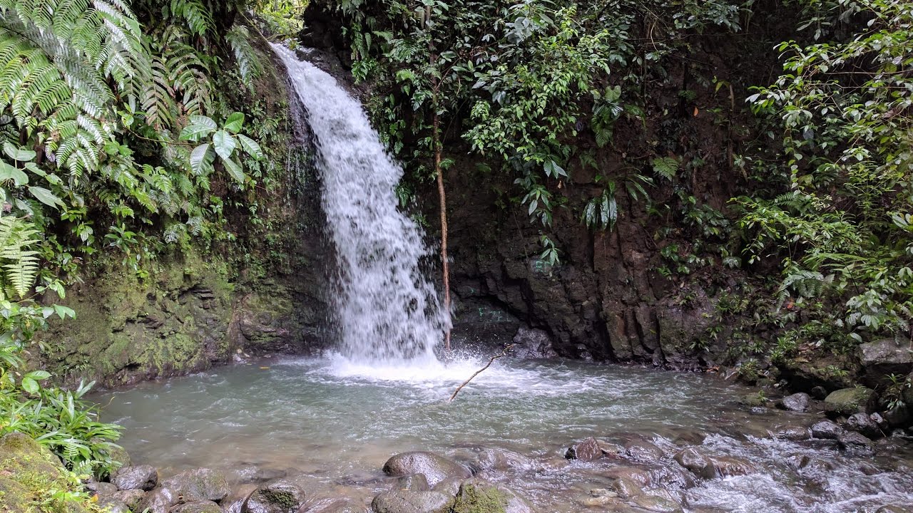 Sante Fe Panama: El Alto & Alto de Piedra Waterfalls