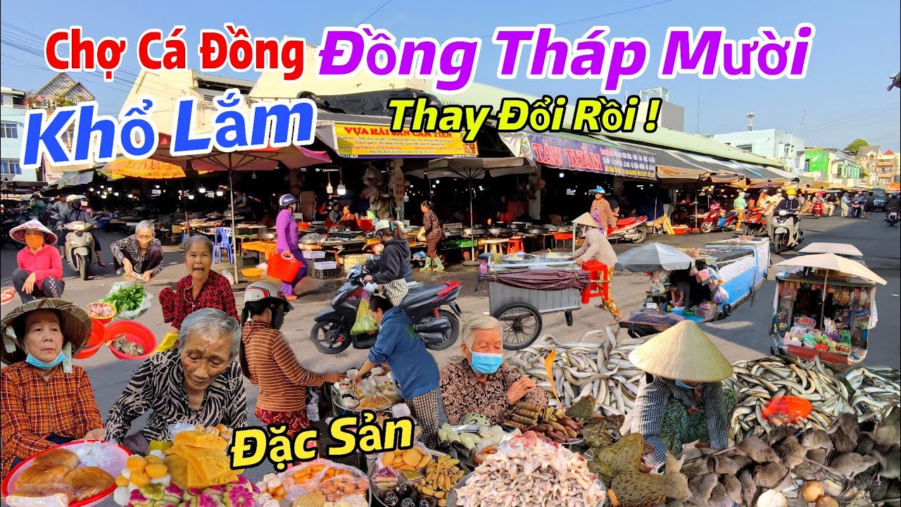 Chợ Cá Đồng Tháp Mười, Đặc Sản Miền Tây, Nhiều Người Mua Bán Lên Tiếng Chợ Không Còn Như Xưa 