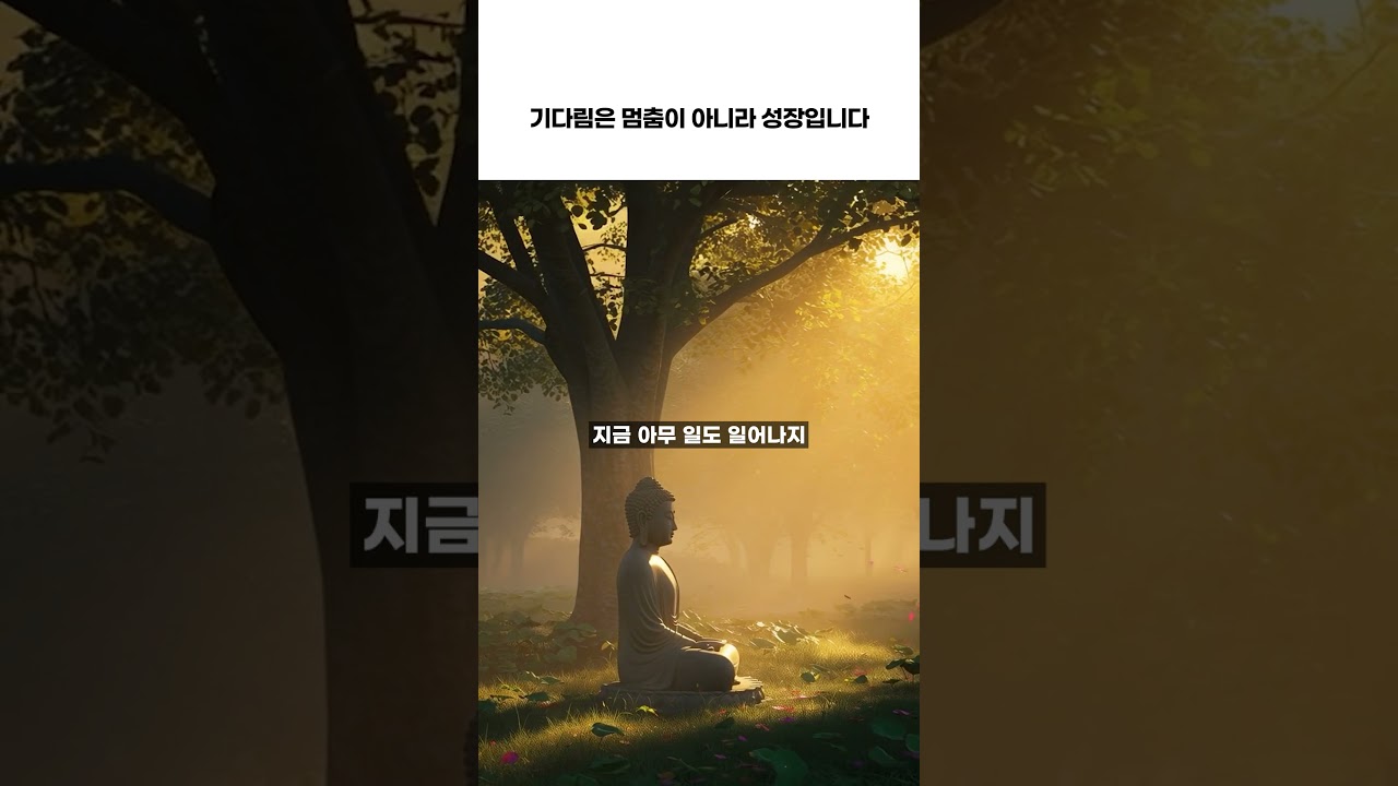법구경이 말하는 인욕의 수행 #자기수행 #명언 #깨달음 #불교가르침 #부처님말씀