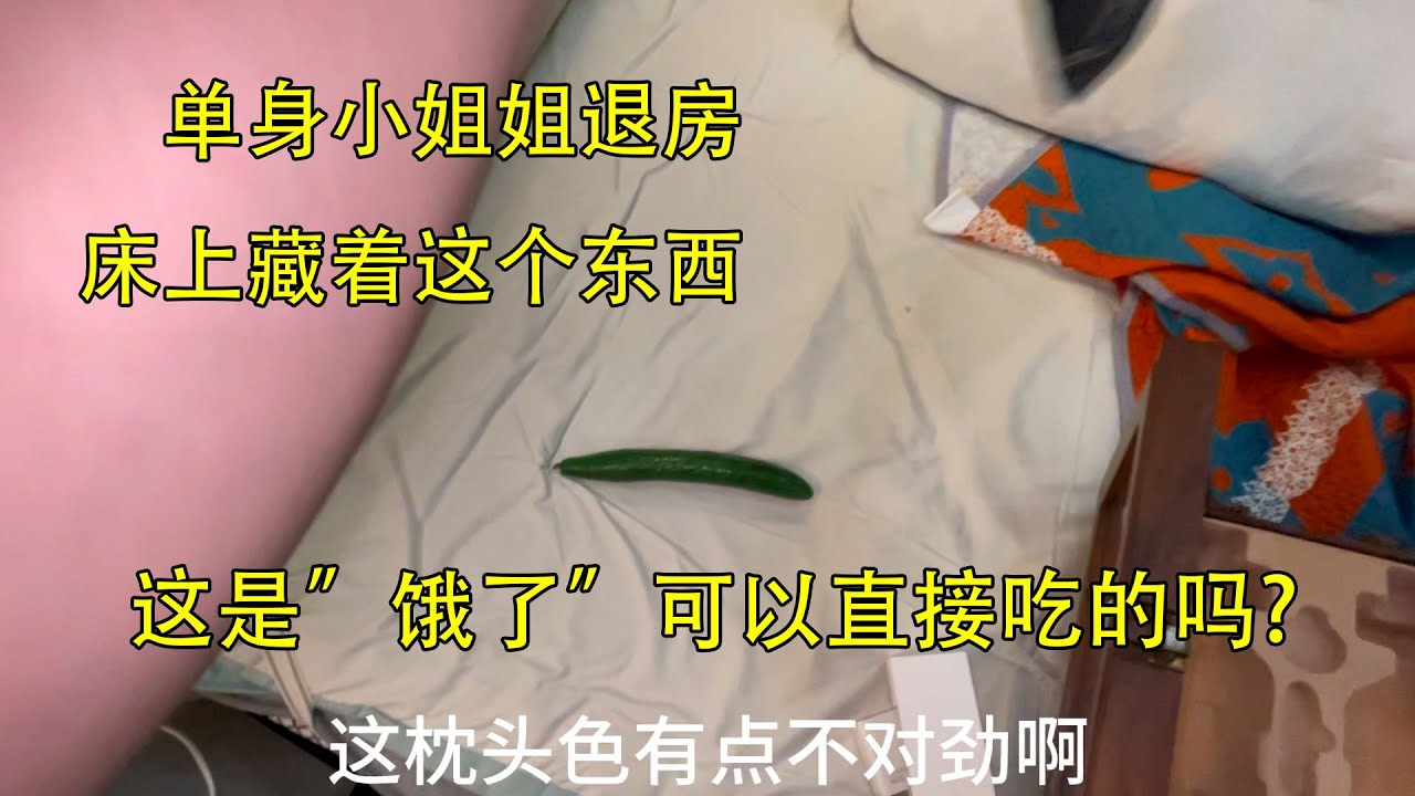【退房盲盒记】单身小姐姐饿了，在床上留着吃的、还有小少妇退房留下的东西都没见过#退房 #好物分享 #公寓出租