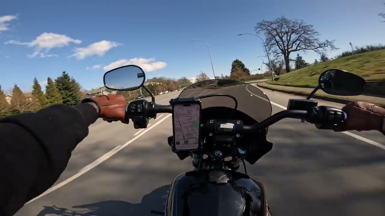 PURE [RAW] HARLEY DAVIDSON STREETBOB 107