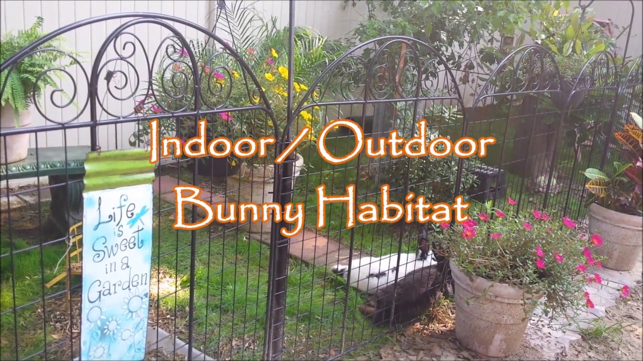 Indoor Outdoor Bunny Habitat Idea