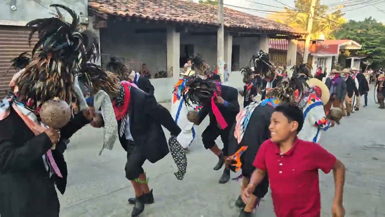 Tejorones Pinotepa de Don Luis  16/02/2026