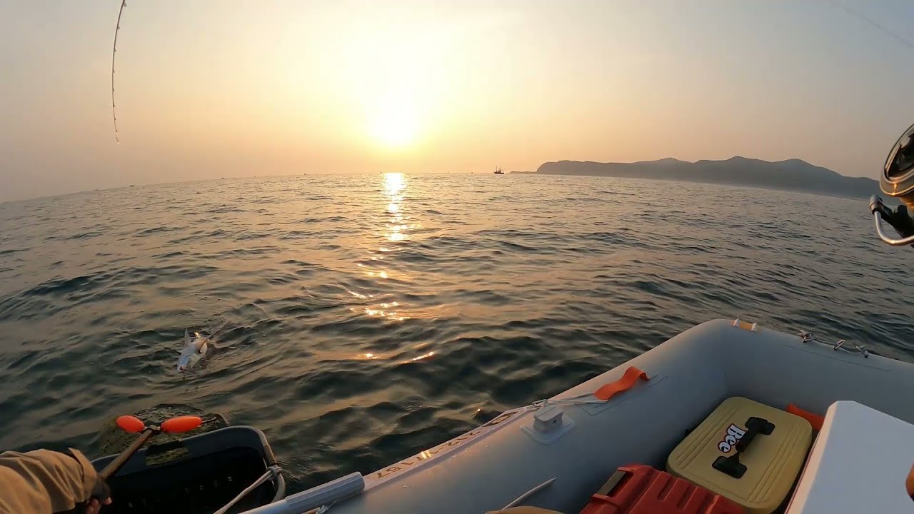 【陸奥湾真鯛釣りソロ釣行11月3日】5馬力ゴムボートで良型真鯛連発！！今年の釣り納めでもいいかも