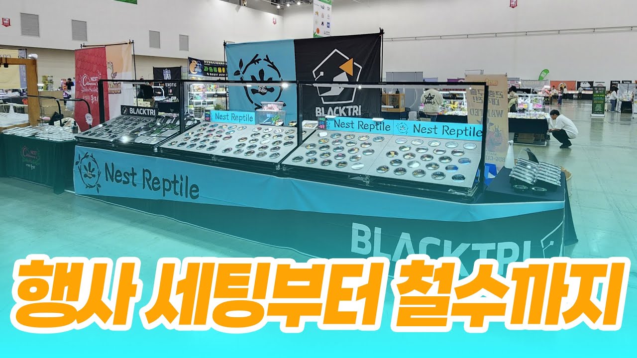 파충류 행사 시작 전 그리고 끝나고가 궁금하셨다구요⁉️
