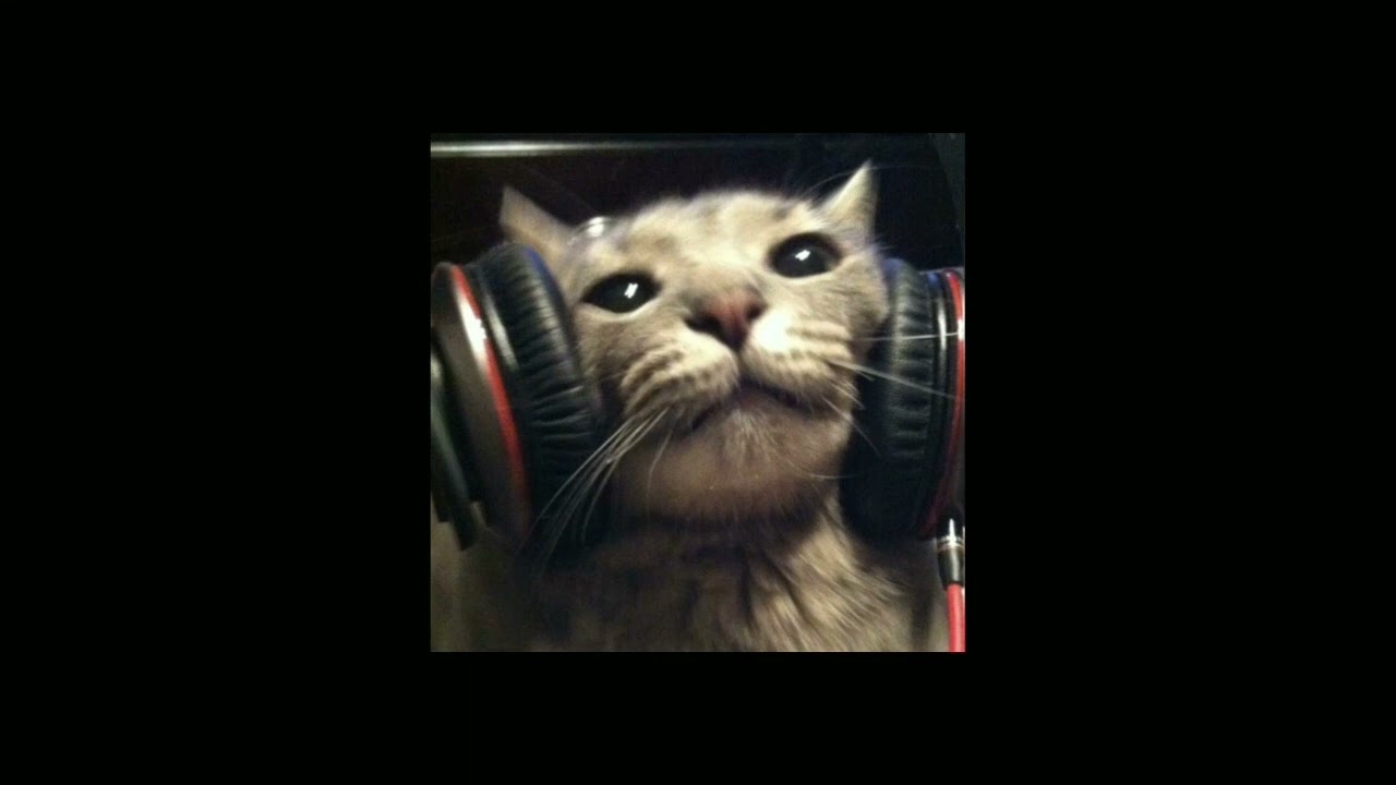 ||sped up tiktoks audios★||#19 + Timestamps