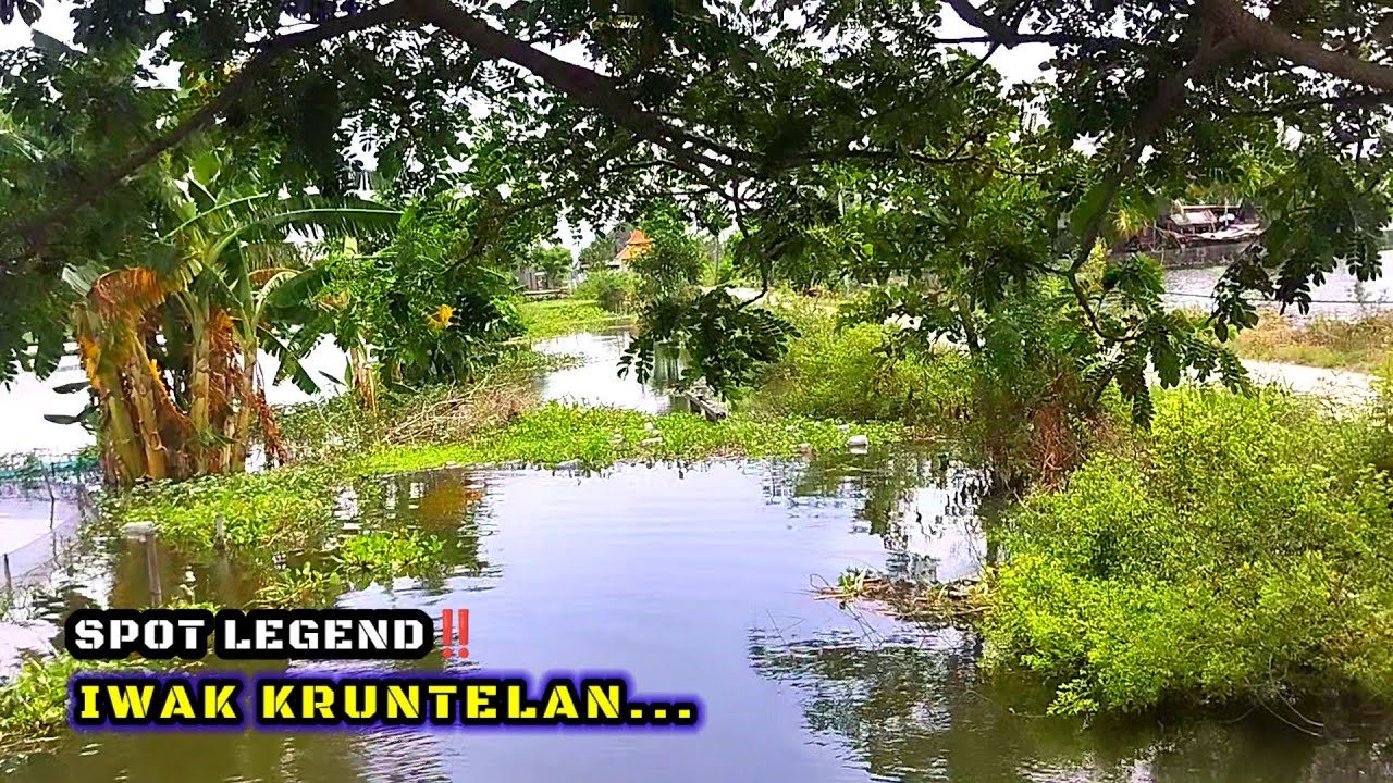 MUSIM BANJIR‼️MANCING LIARAN SERASA MANCING DI KOLAM #mancing #fishing