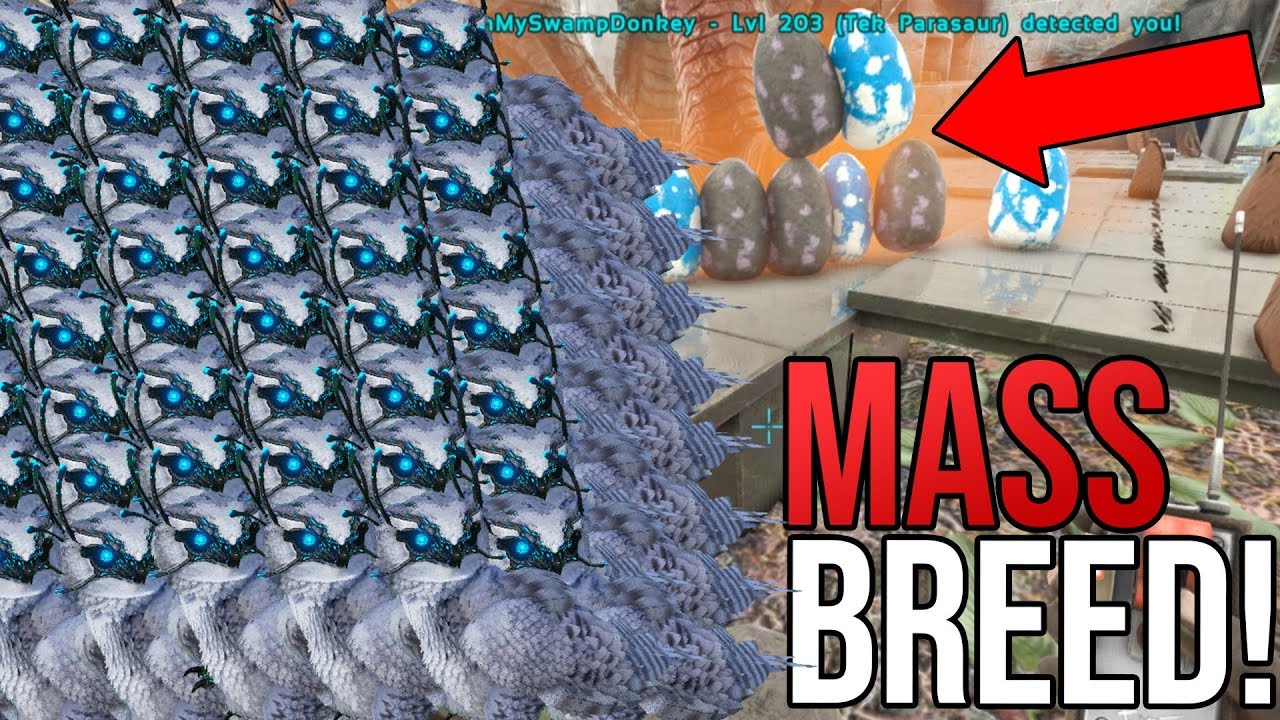 MASS BREEDING GLITCH On Official!!! ARK Official PvP!