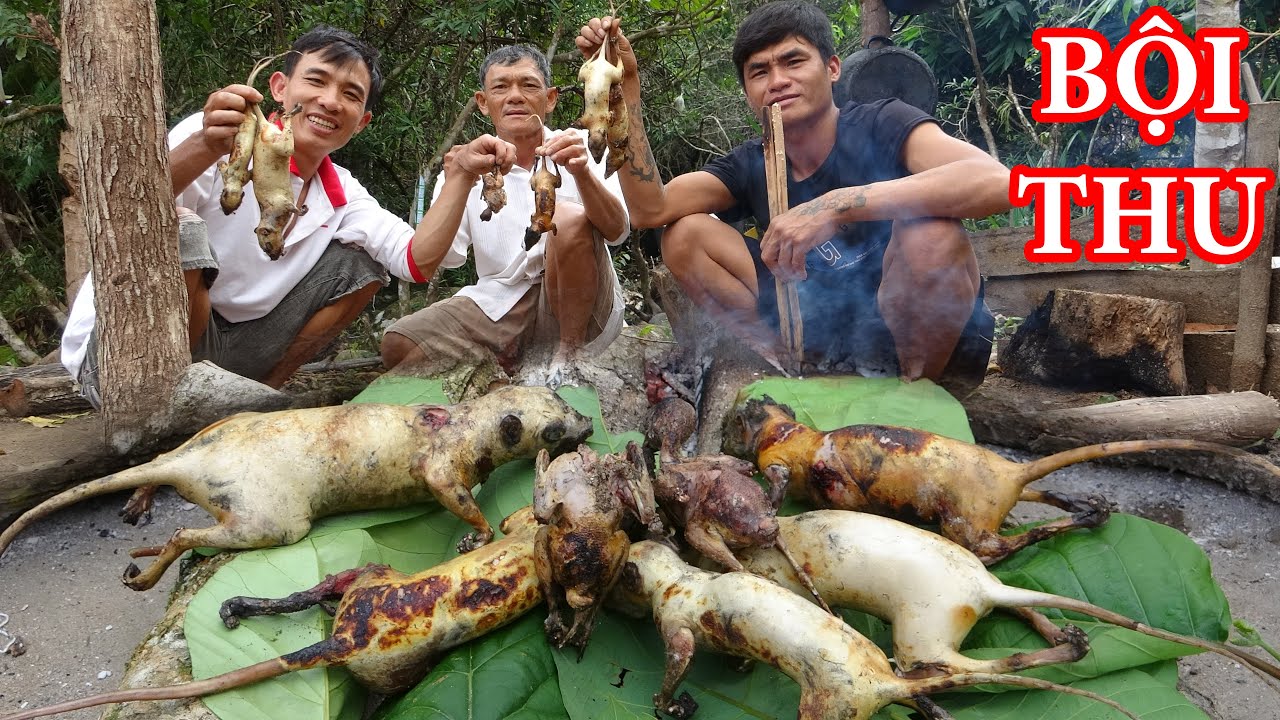THĂM BẪ.Y CHỒN, PHỤC CÂY ĐA CHIM ĂN QUẢ, CUỘC SỐNG TRONG RỪNG - RỪNG LỚN - T21