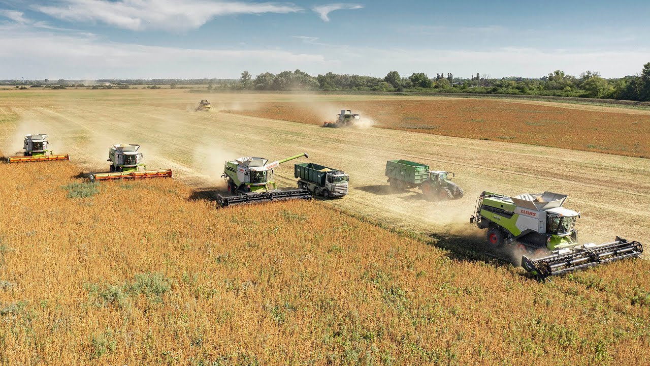 AgroSpol Michalovce | Žatva Sóje 2022 | CLAAS | FENDT | New Holland | CaseIH