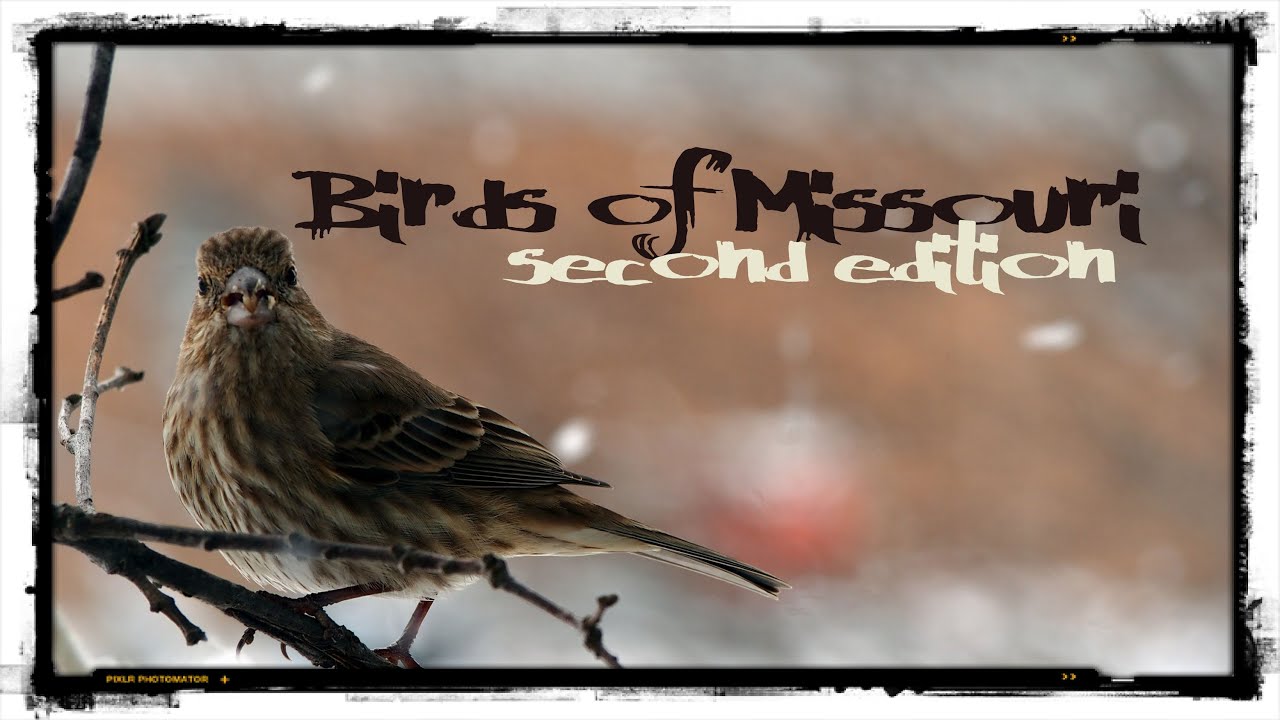 Birds of Missouri Second Edition 2015