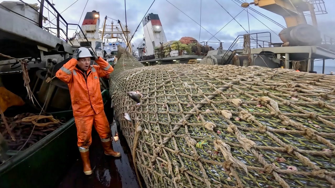 Как происходит выборка трала 180 ТОНН на русском супер траулере —  эксклюзивная съемка от 1-го лица