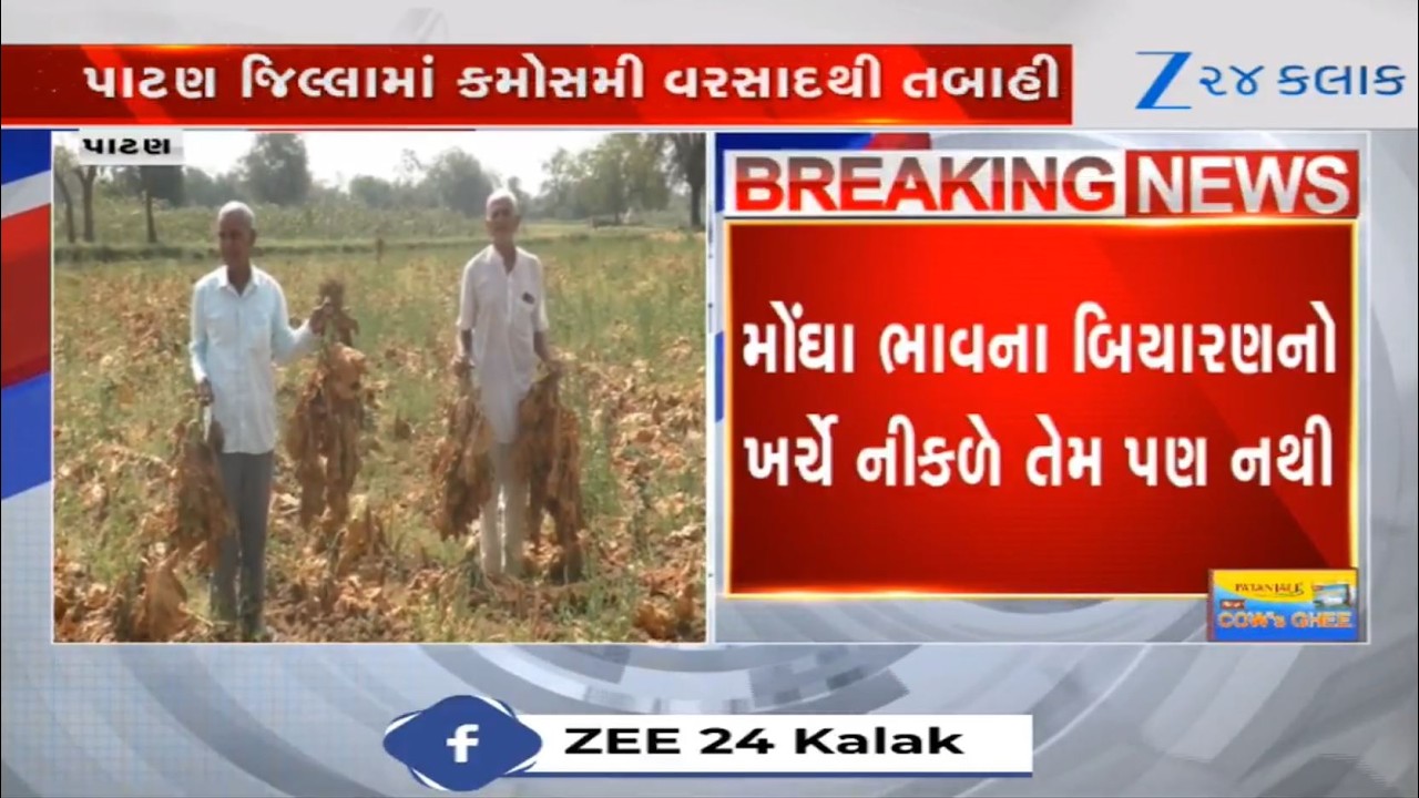 Patan farmers in pitiable condition as crops get damage due to heavy unseasonal rain showers