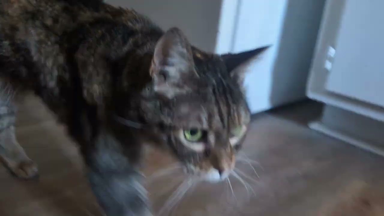 awaketh