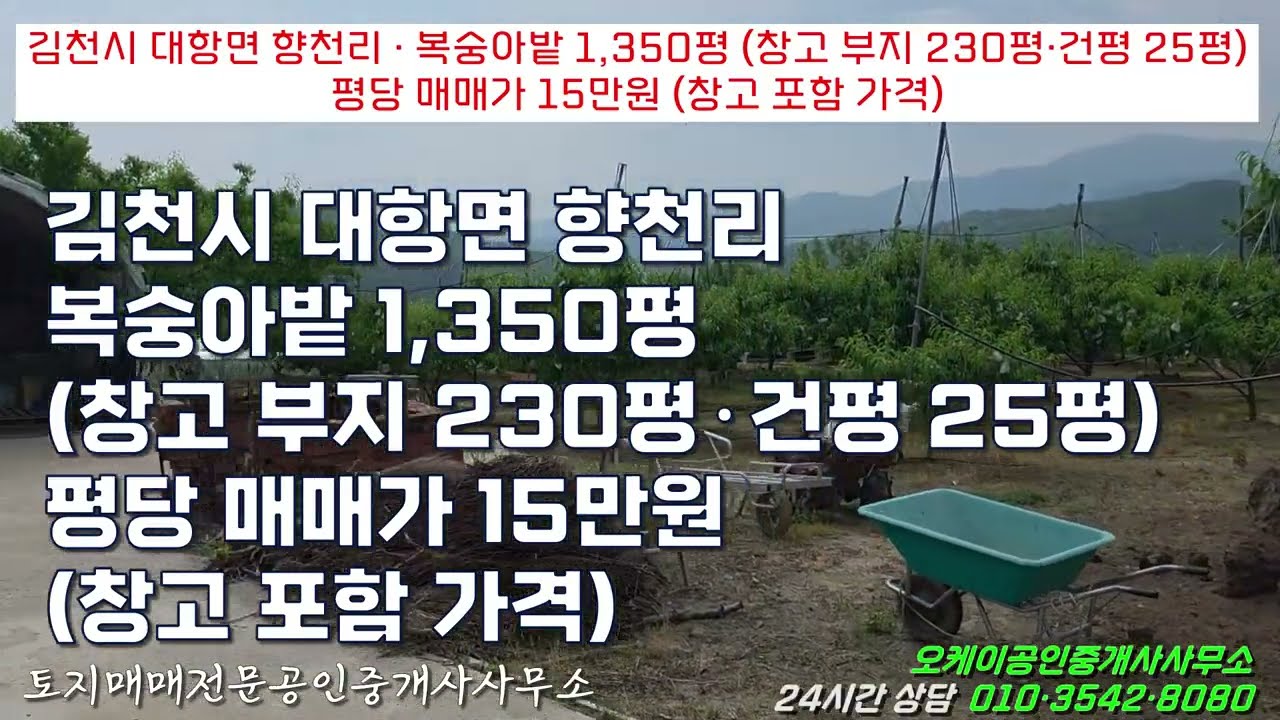김천시 대항면 향천리 복숭아밭 1350평 창고 부지 230평 건평 25평 평당 매매가 15만원 창고 포함 가격