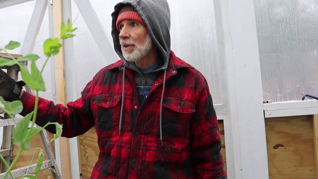 GREENHOUSE/High Tunnel Questions Answered!