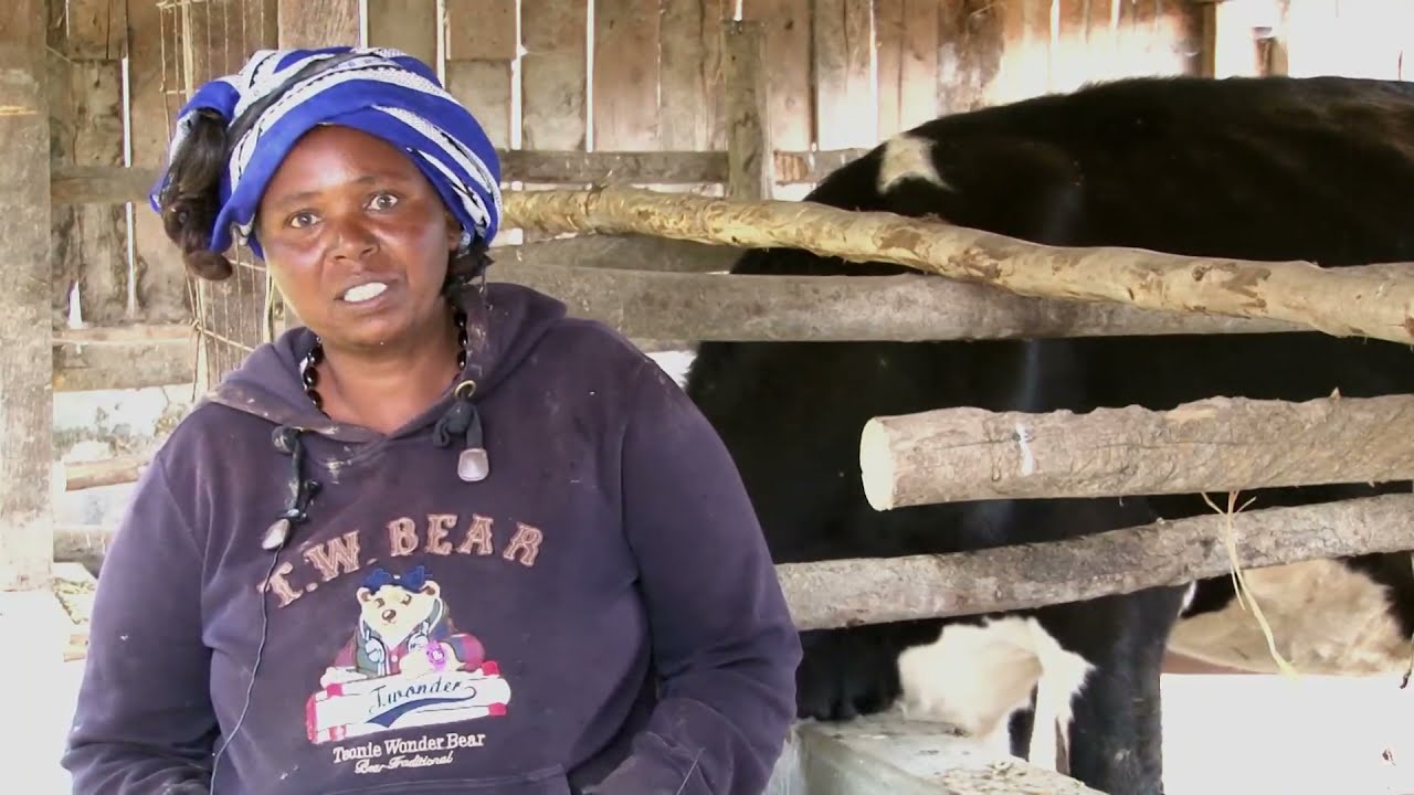 ECLOF Kenya Model Dairy Farms